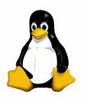 Linux - VDS Web Hosting